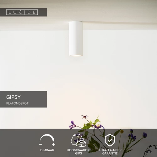 Lucide GIPSY - Plafondspot - Ø 7 cm - 1xGU10 - Wit - USP